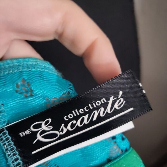 The Escante Collection bra set in teal - Picture 6 of 7